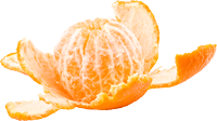 Ernährungsberatung Langenhagen